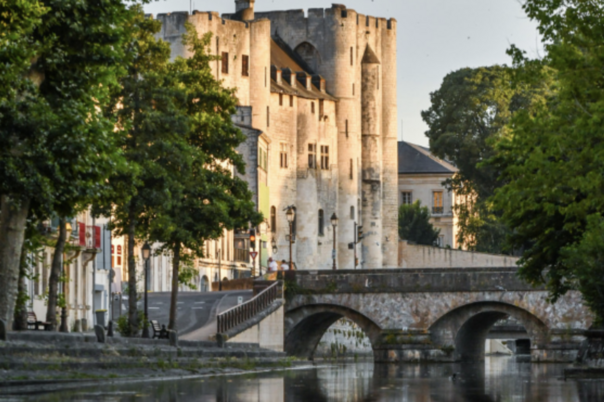 Illustration de la manifestation L'été au Donjon ! Visites commentées « Histoire et architecture »