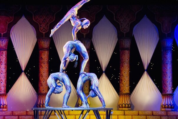 Illustration de la manifestation Nouveau Cirque Zavatta