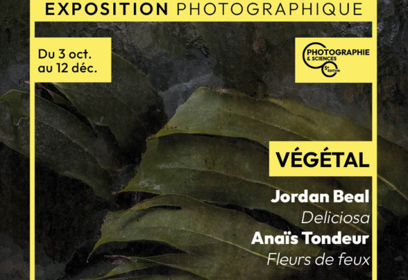 Affiche de l'exposition photographique Végétal – Jordan Beal et Anaïs Tondeur, du 3 oct. au 12 déc.