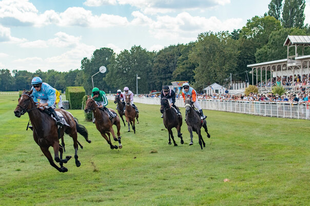 Illustration de la manifestation Hippisme : réunion de galop à l'hippodrome de Romagné