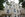 Patrimoine domestique Villa Pérochon 46.322295