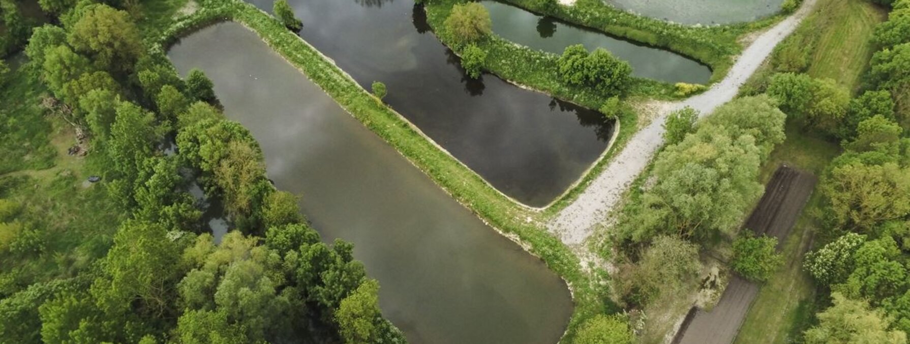Lagunes d'épuration des eaux vues du ciel, plusieurs bassins aménagés au sein d'un espace naturel boisé