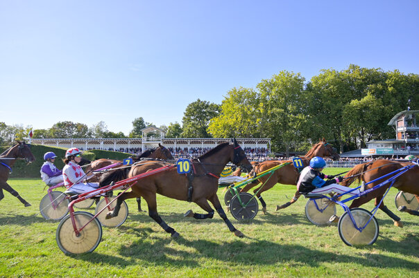 Illustration de la manifestation Hippisme : réunion de trot à l'hippodrome de Romagné