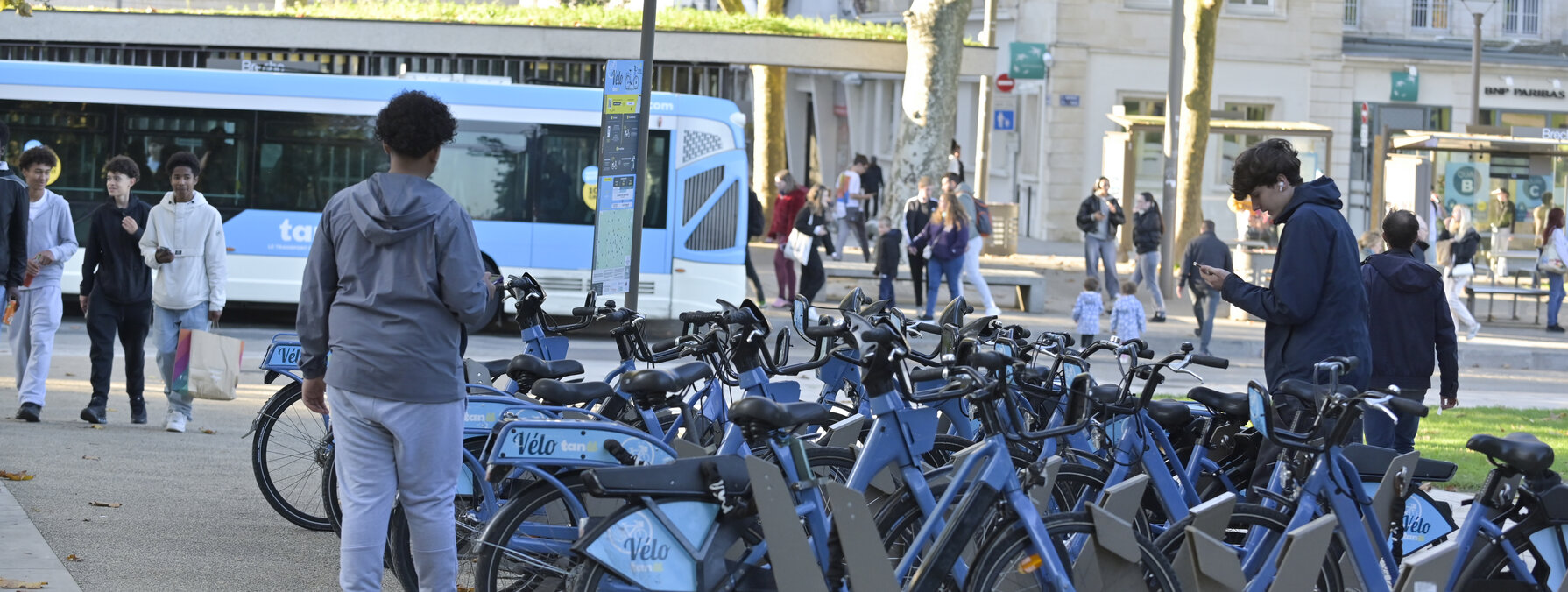 Tanlib mobilite