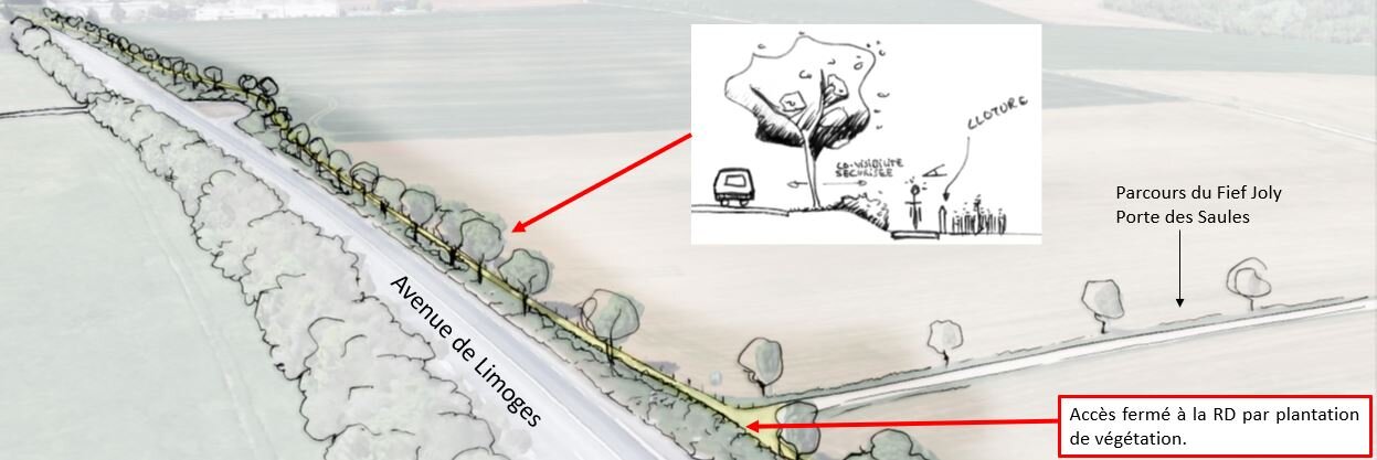 Plan en perspective de la section 2 : voie verte longeant l'avenue de Limoges, fermeture d'accès à la RD par plantation de végétation