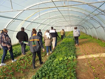 Membres du club restauration collective en visite dans une serre maraîchère de l'association Nature solidaire à Magné