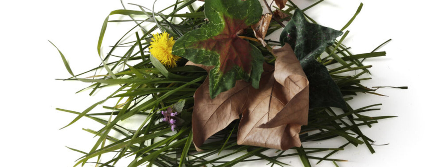 Tontes de gazon, feuilles mortes et végétaux mélangés formant un tas de déchets verts compostables