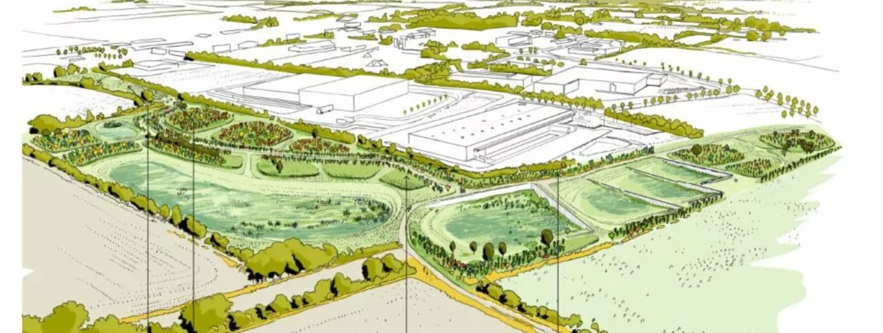 Simulation paysagère à 5 ans : espèces ligneuses, prairies de fauche et cheminements prévus sur la zone d'activité