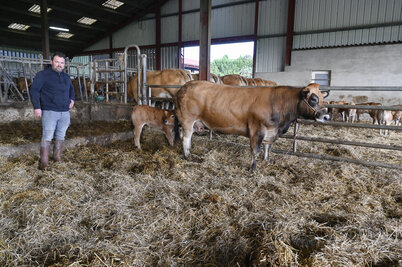 Mathieu Breillat eleveur de parthenaise a Coulon presente sa vache et son veau pour la preselection du Salon de l?Agriculture. EARL Breillat - vaches parthenaises Mathieu Breillat éleveur de parthenaise à Coulon présente sa vache et son veau pour la présélection du Salon de l'Agriculture. EARL Breillat - vaches parthenaises