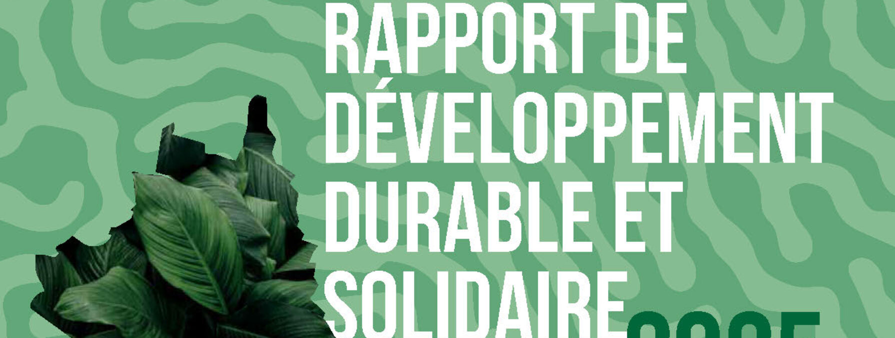 Couverture du Rapport de Développement Durable et Solidaire 2025 de Niort Agglo – Pour un territoire durable