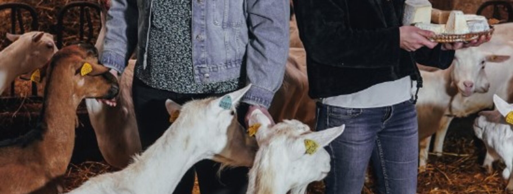 Deux éleveuses caprines entourées de chèvres dans une bergerie, l'une tenant une corbeille de fromages