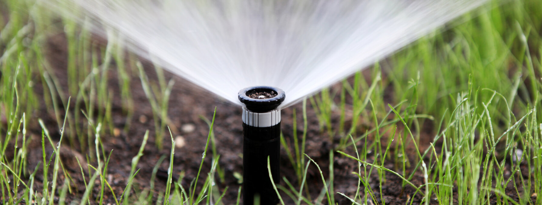 Tête d'arrosage automatique en fonctionnement, diffusant de l'eau en éventail sur une pelouse