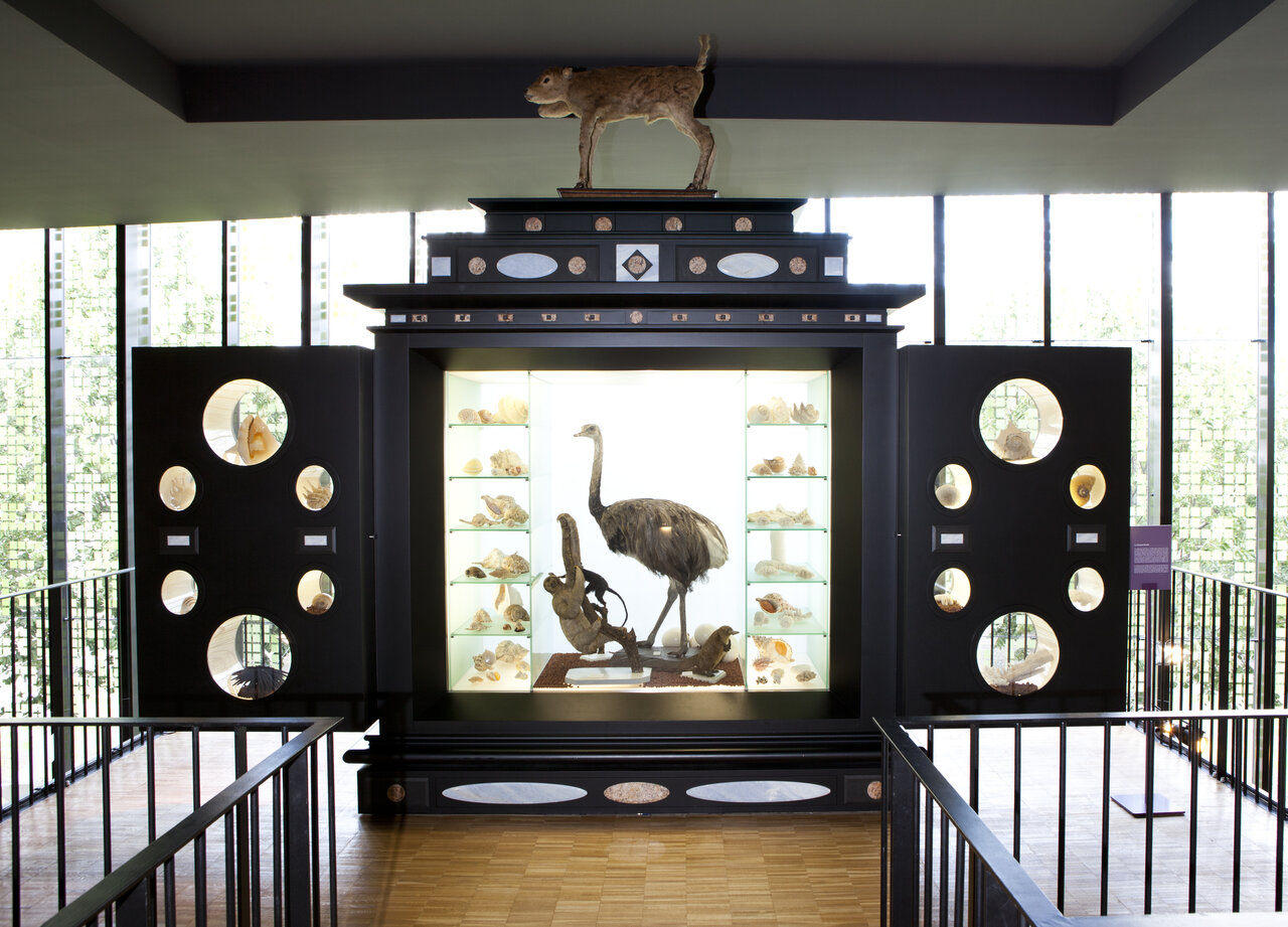 Le Kunstschrank ouvert en triptyque : panneaux latéraux à hublots, vitrine centrale illuminée abritant un grand oiseau naturalisé