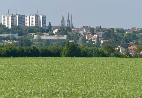 Paysage de plaine entre Niort, Echiré et Saint-Maxire