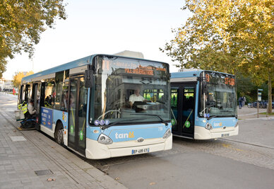 Tanlib mobilite Tanlib mobilite