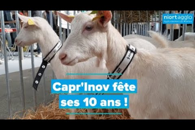 Lire la vidéo 1 sur [1], fenêtre modale