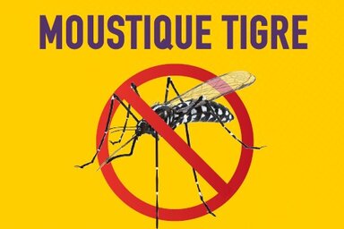 Affiche Niort Durable 2030 : Moustique tigre — au cimetière comme à la maison, privons-le d'eau.